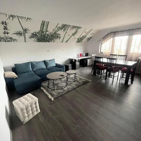 スチャヴァEroilor II Apartamentアパートメント エクステリア 写真