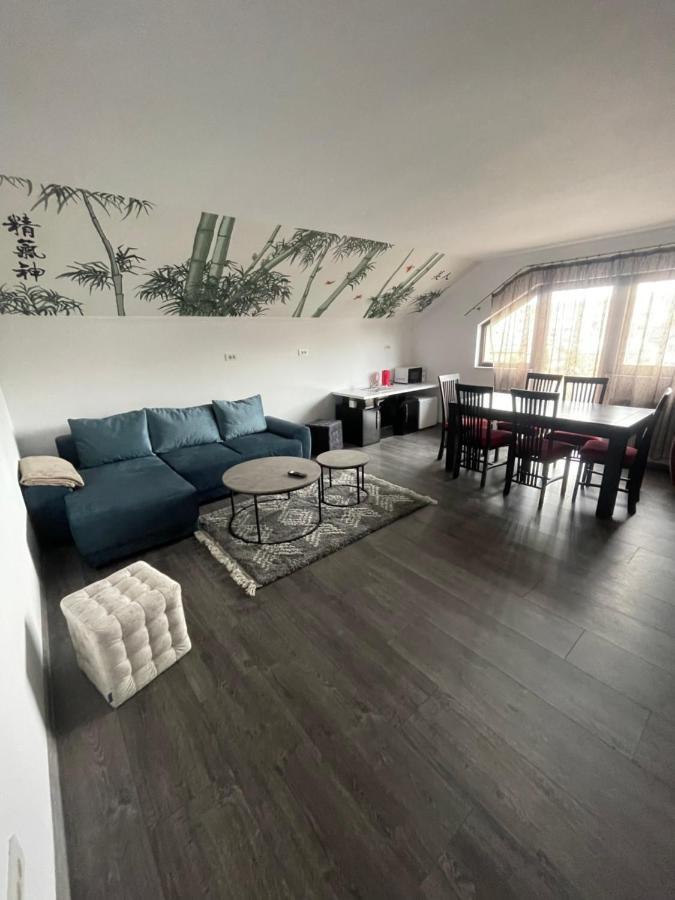 スチャヴァEroilor II Apartamentアパートメント エクステリア 写真